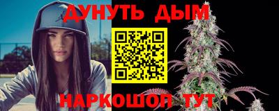 трава Кингисепп