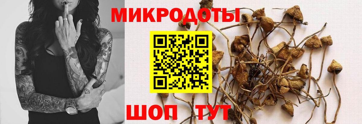 Псилоцибиновые грибы мухоморы  как найти закладки  Красный Сулин  Вход с VPN 